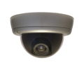Colour CCD Outdoor Dome Camera ADL-H1